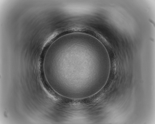 X0000094420730200711081136