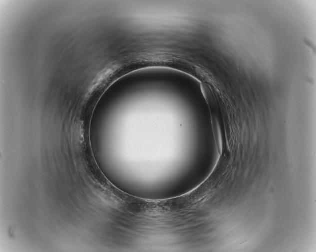 X0000094420731200711081136