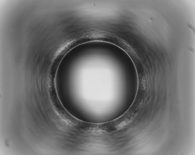 X0000094420732200711081136
