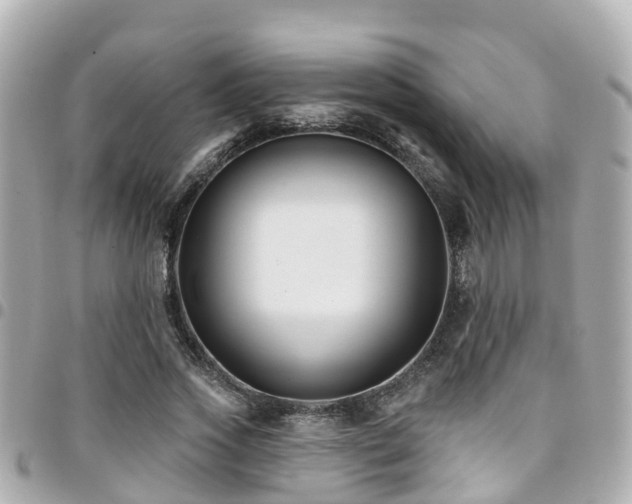 X0000094420733200711081136