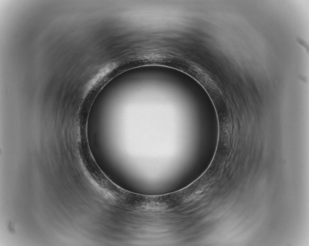 X0000094420734200711081136