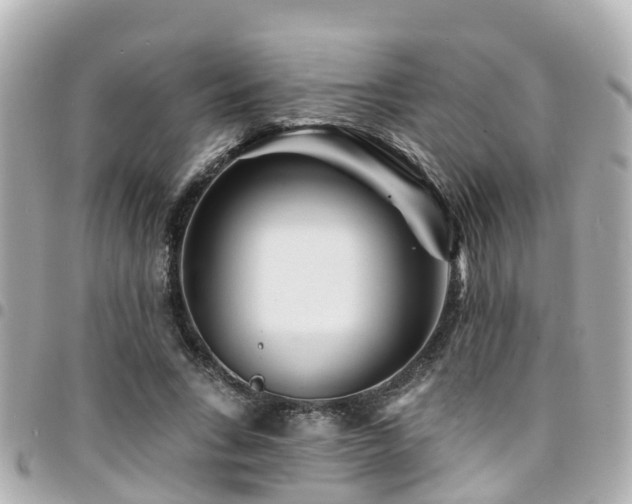 X0000094420735200711081136