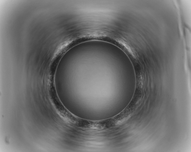 X0000094420736200711081136