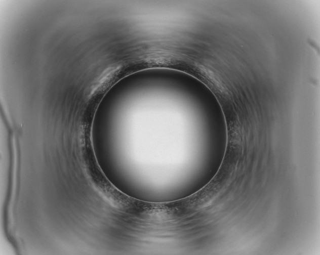 X0000094420738200711081136