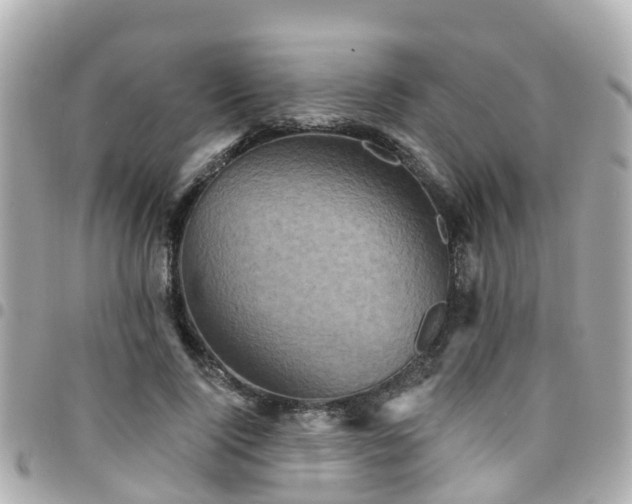 X0000094420740200711081136