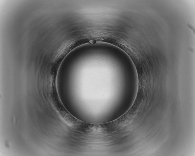 X0000094420742200711081136