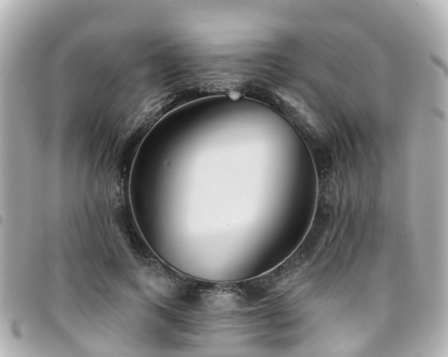 X0000094420743200711081136
