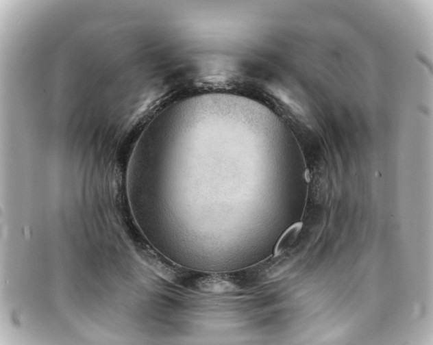 X0000094420747200711081136