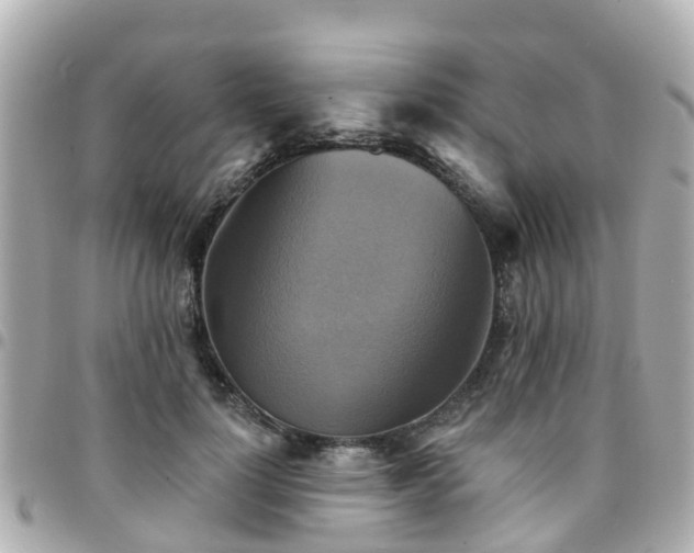 X0000094420748200711081136