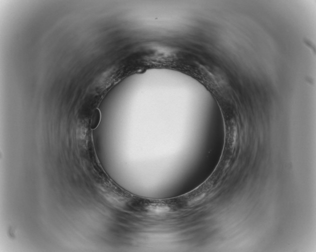 X0000094420749200711081136