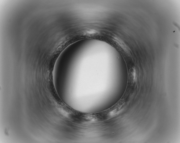 X0000094420750200711081136
