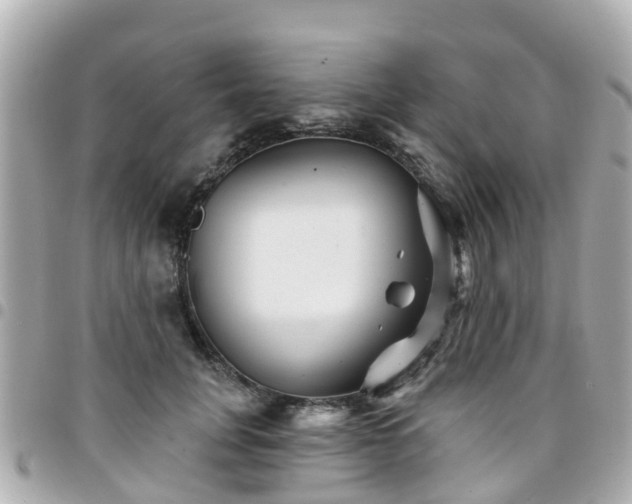 X0000094420751200711081136