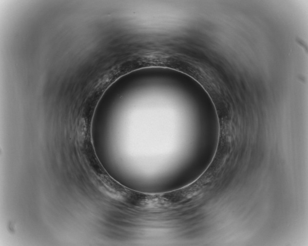 X0000094420752200711081136