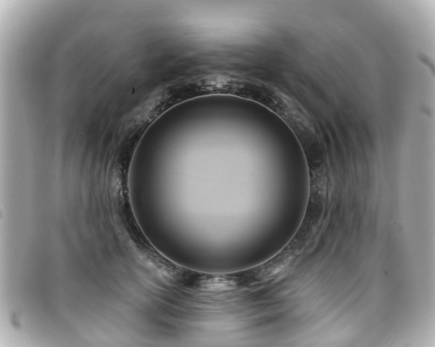 X0000094420754200711081136
