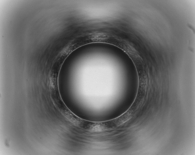 X0000094420755200711081136