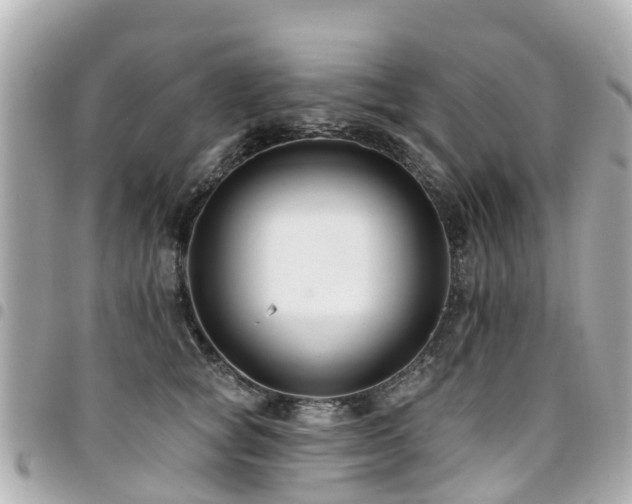 X0000094420757200711081136