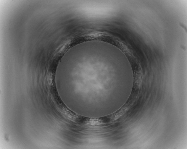X0000094420758200711081136