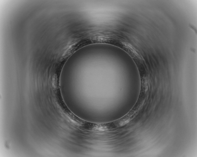 X0000094420760200711081136