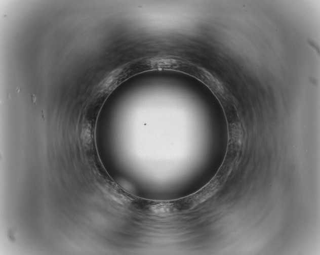 X0000094420761200711081136