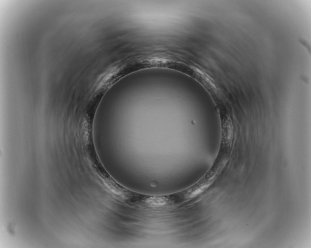 X0000094420762200711081136