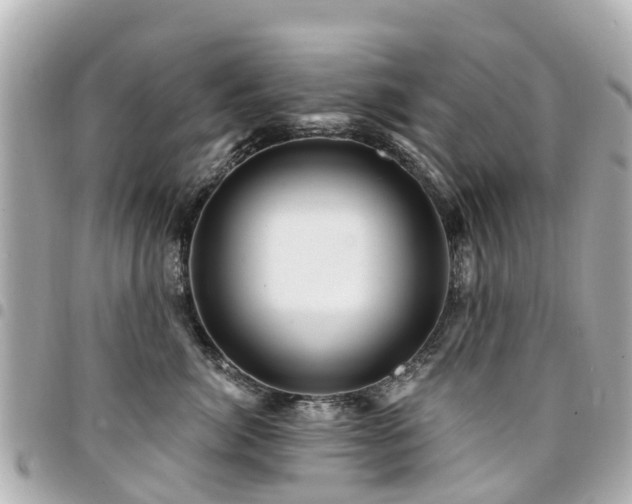 X0000094420764200711081136