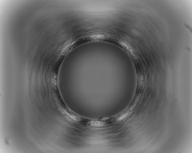 X0000094420766200711081136
