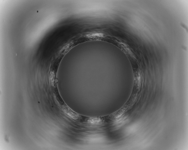 X0000094420767200711081136