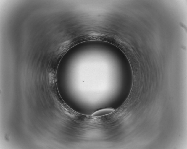 X0000094420768200711081136