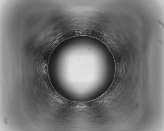 X0000094420770200711081136