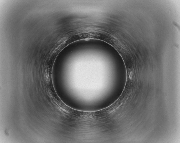 X0000094420771200711081136