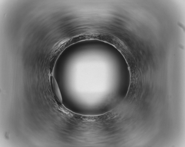 X0000094420773200711081136
