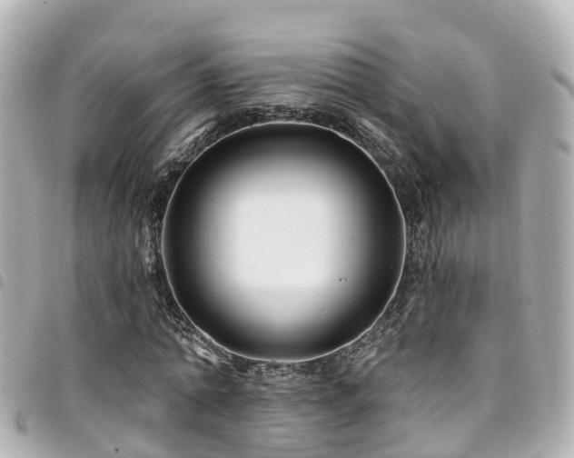 X0000094420774200711081136
