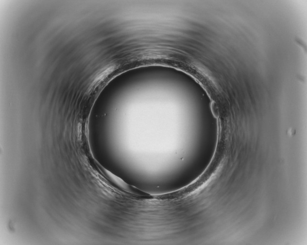 X0000094420777200711081136