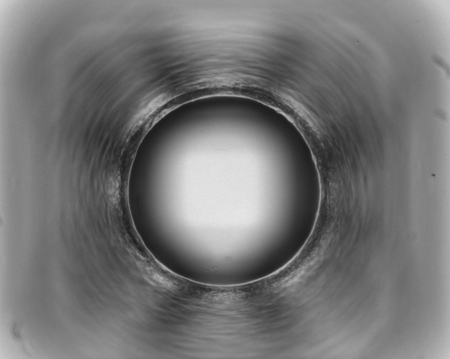 X0000094420778200711081136