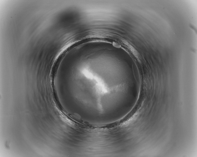 X0000094420779200711081136