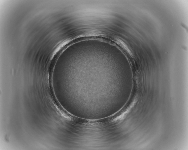 X0000094420781200711081136
