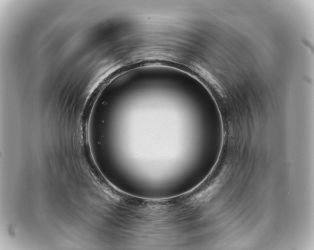 X0000094420782200711081136