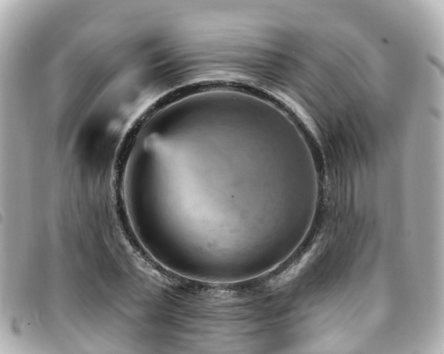 X0000094420783200711081135