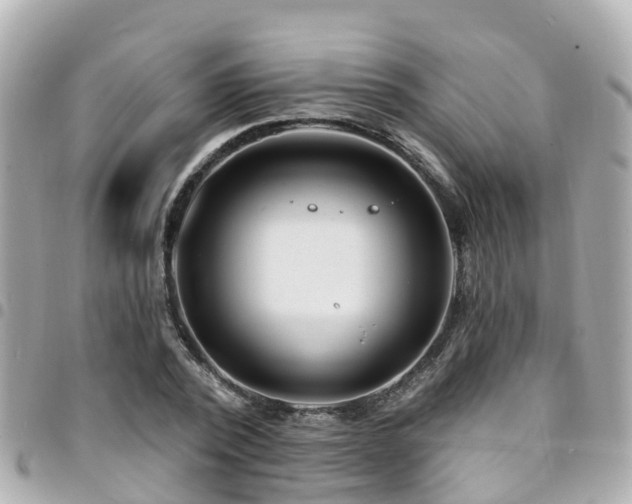 X0000094420784200711081135