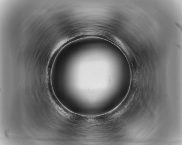 X0000094420787200711081135