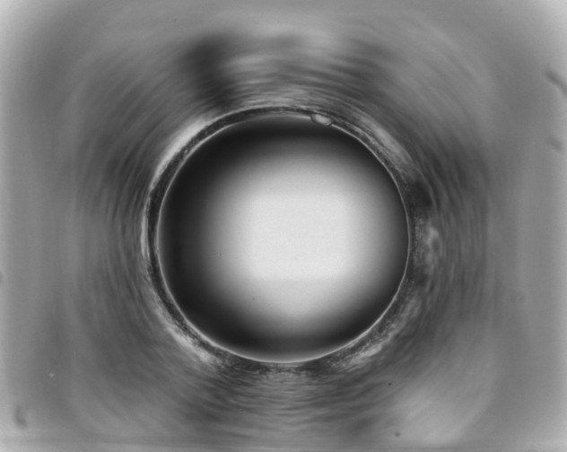 X0000094420788200711081135