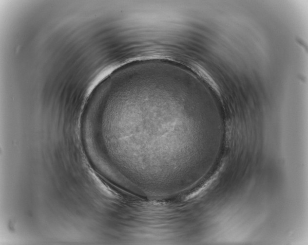 X0000094420789200711081135