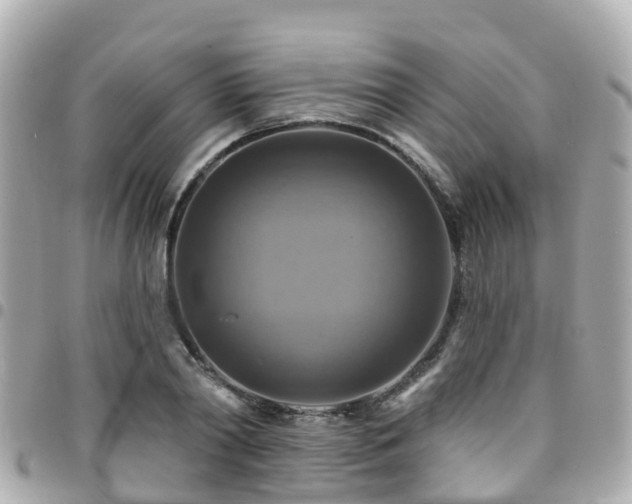 X0000094420790200711081135