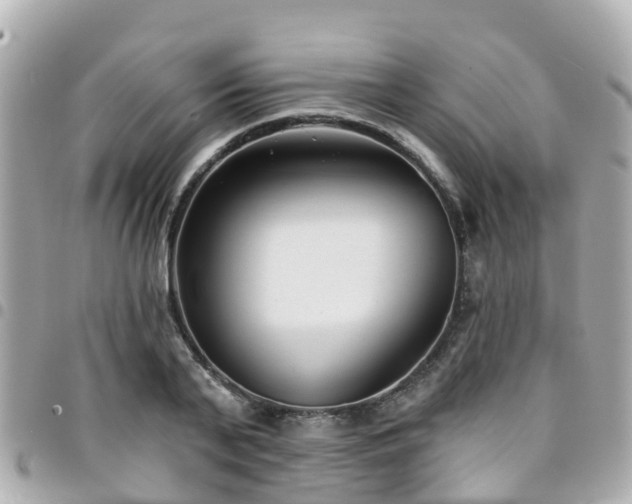 X0000094420791200711081135