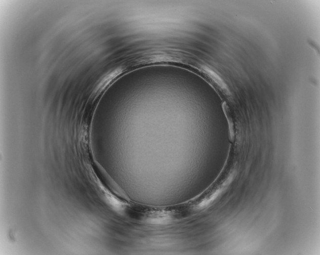 X0000094420793200711081135