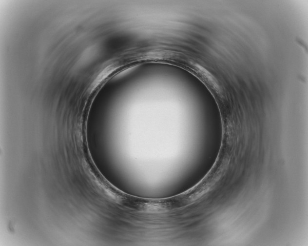 X0000094420794200711081135