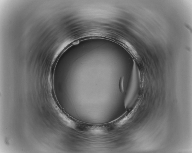 X0000094420796200711081135