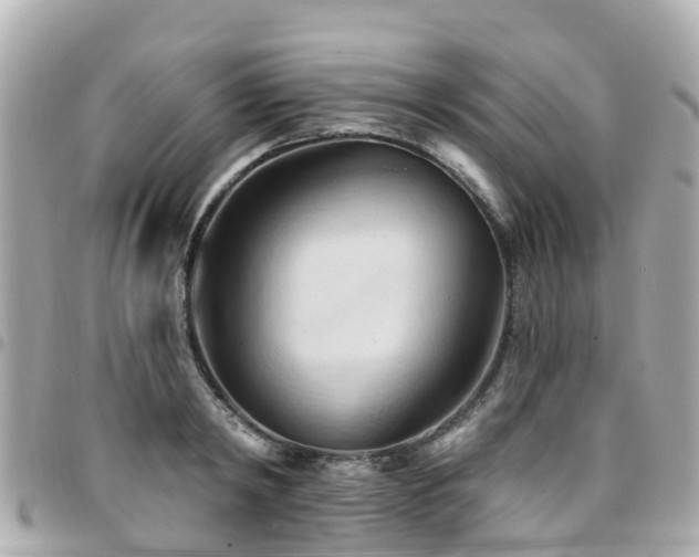 X0000094420798200711081135