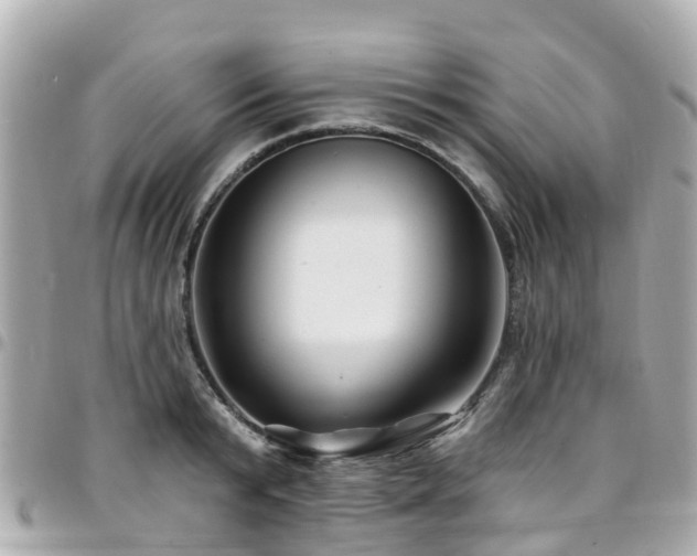 X0000094420799200711081135