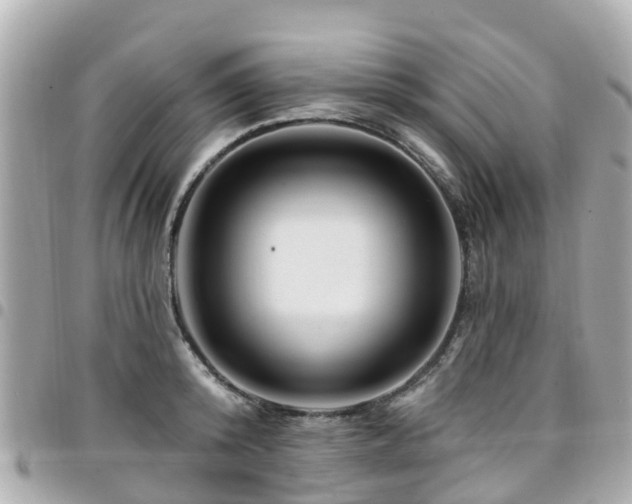 X0000094420800200711081135